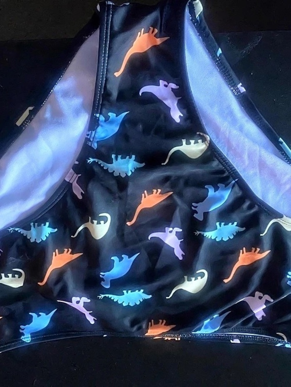 Dinosaur Print Bikini bottoms Black & Blue Size 2XL